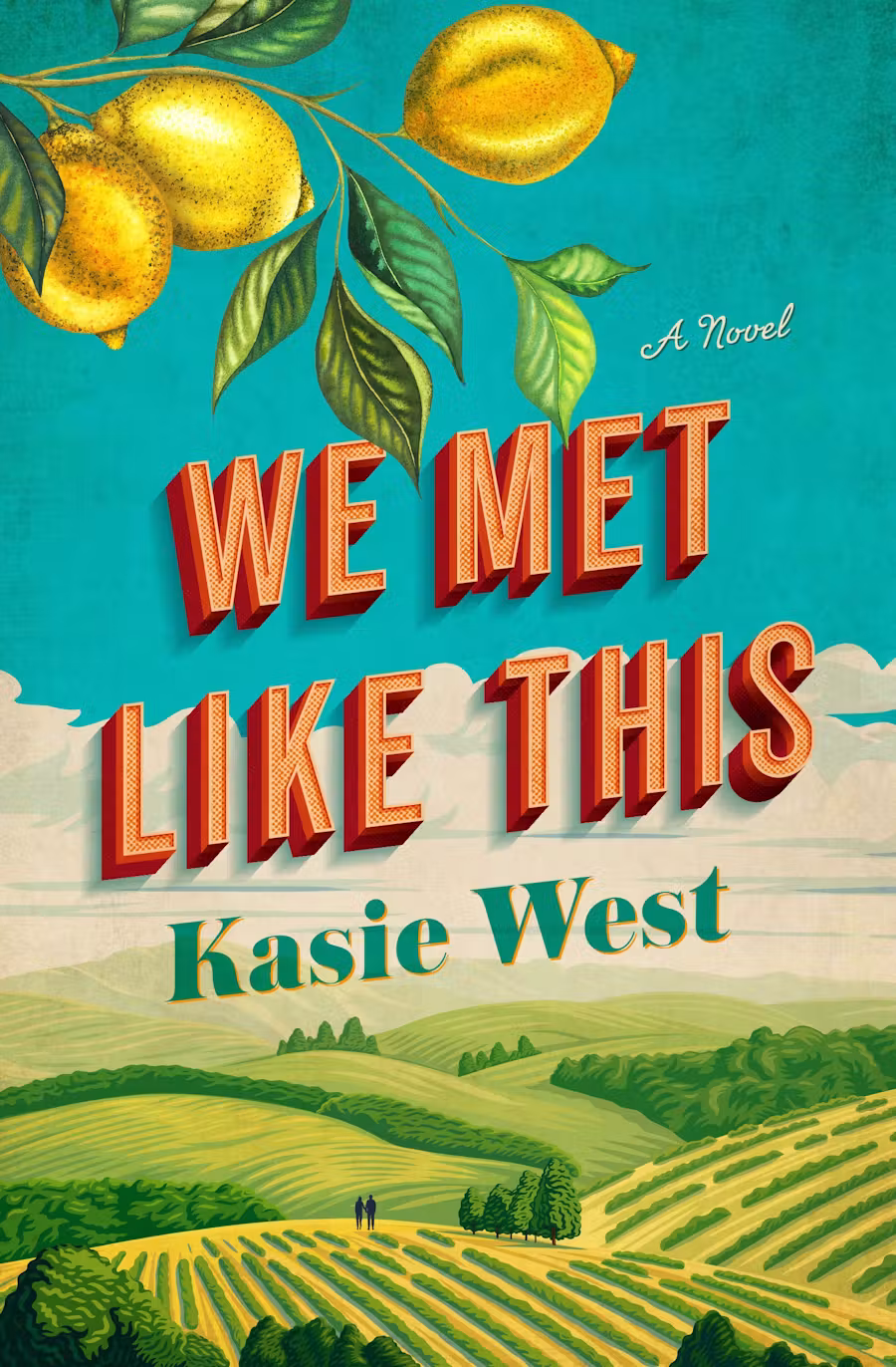 FL_WeMetLikeThis We Met Like This book cover