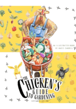 CP_chicken1