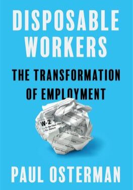 Disposable Workers book cover