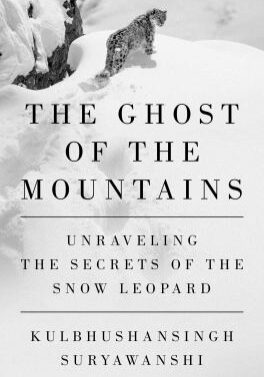 The Ghost of the Mountains book cover