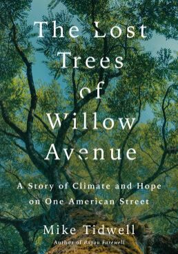 The Lost Trees of Willow Avenue book cover