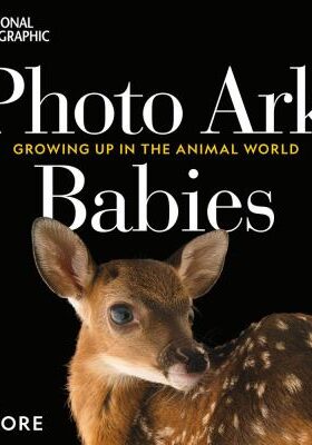 Photo Ark Babies book cover