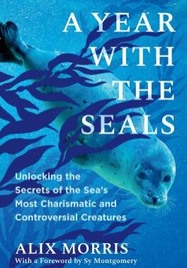seals